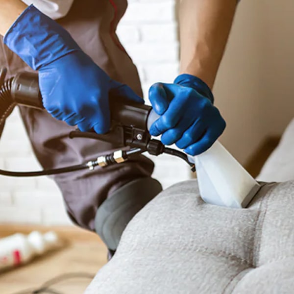 Upholstery Cleaning